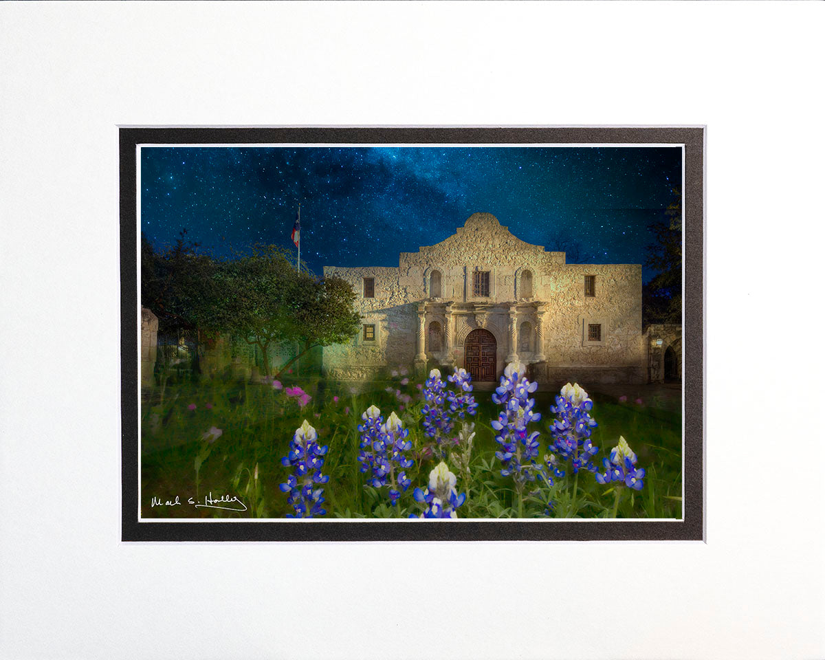 Alamo and Bluebonnets 8x10