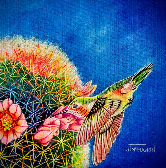 Colibrí en el desayuno