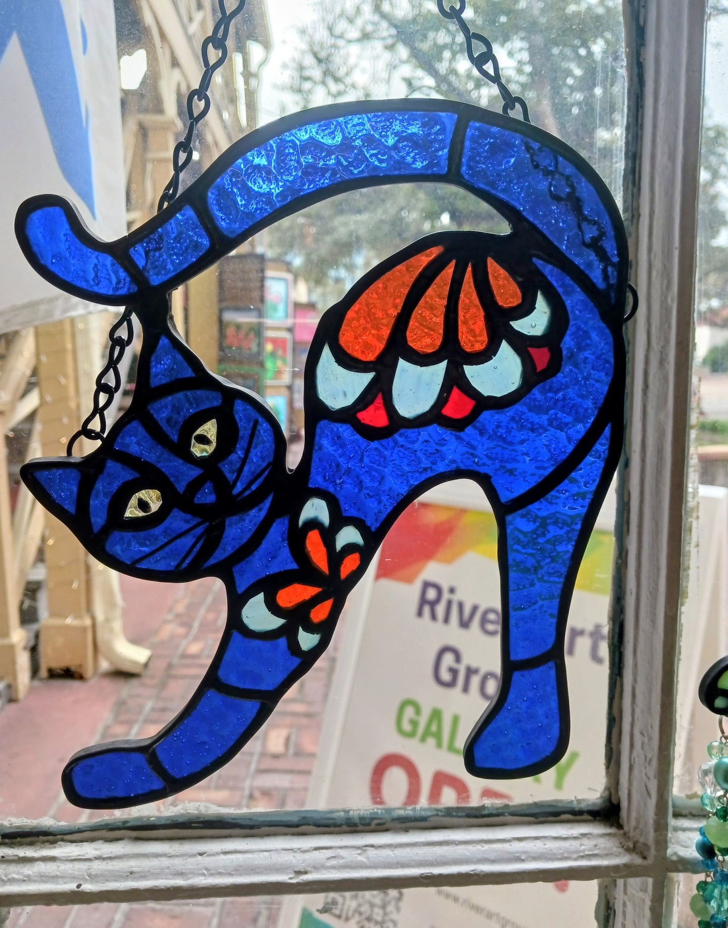 Blue Cat
