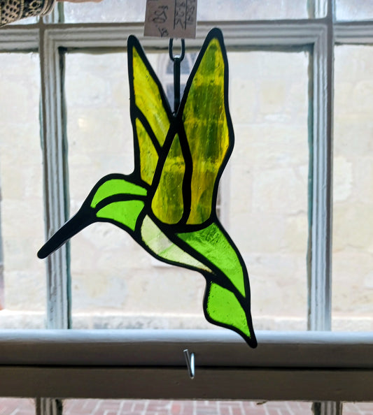 Green Hummingbird