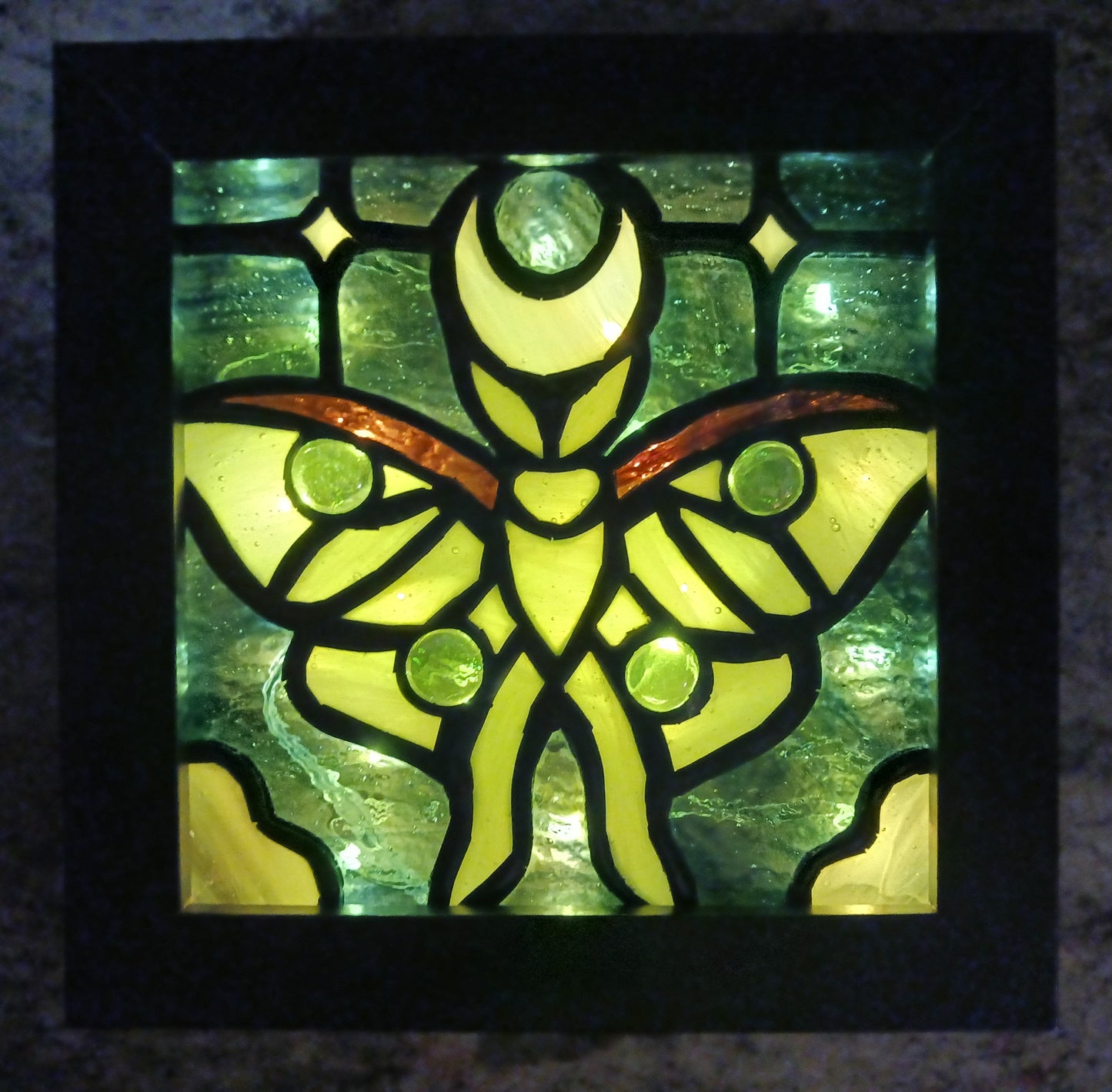 Luna Moth Light Box