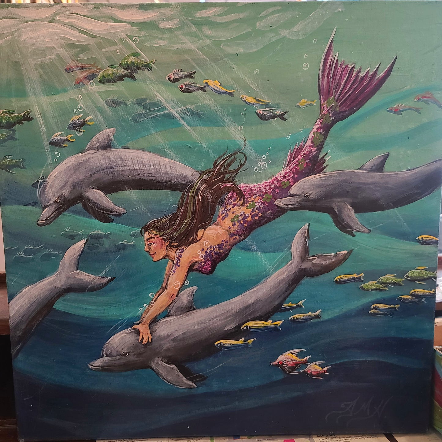 Dolphin dive, 2025
