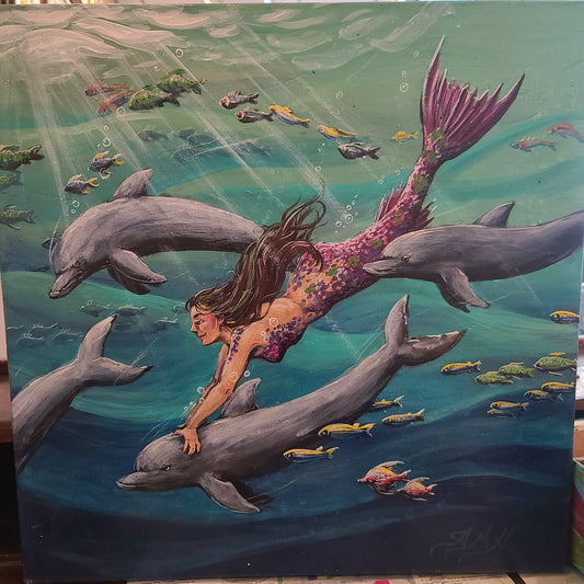 Dolphin dive, 2025