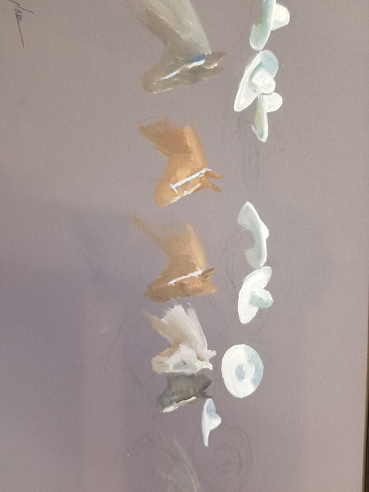 Sombreros y caballos