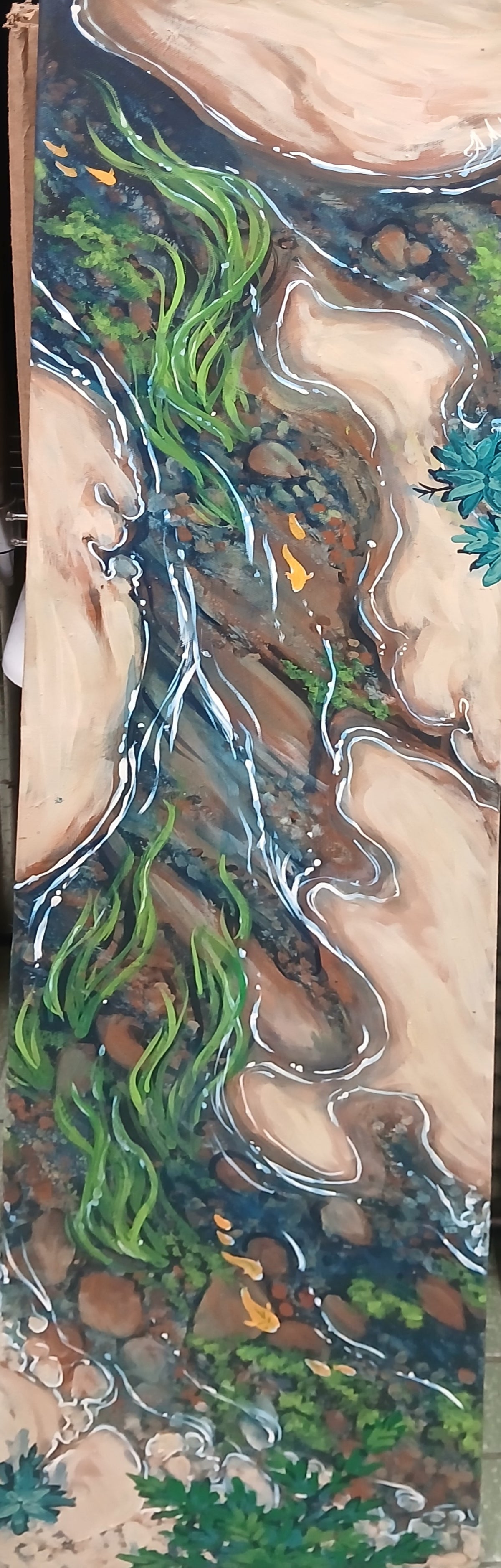 Medina River, 2026. Acayla M. Haile