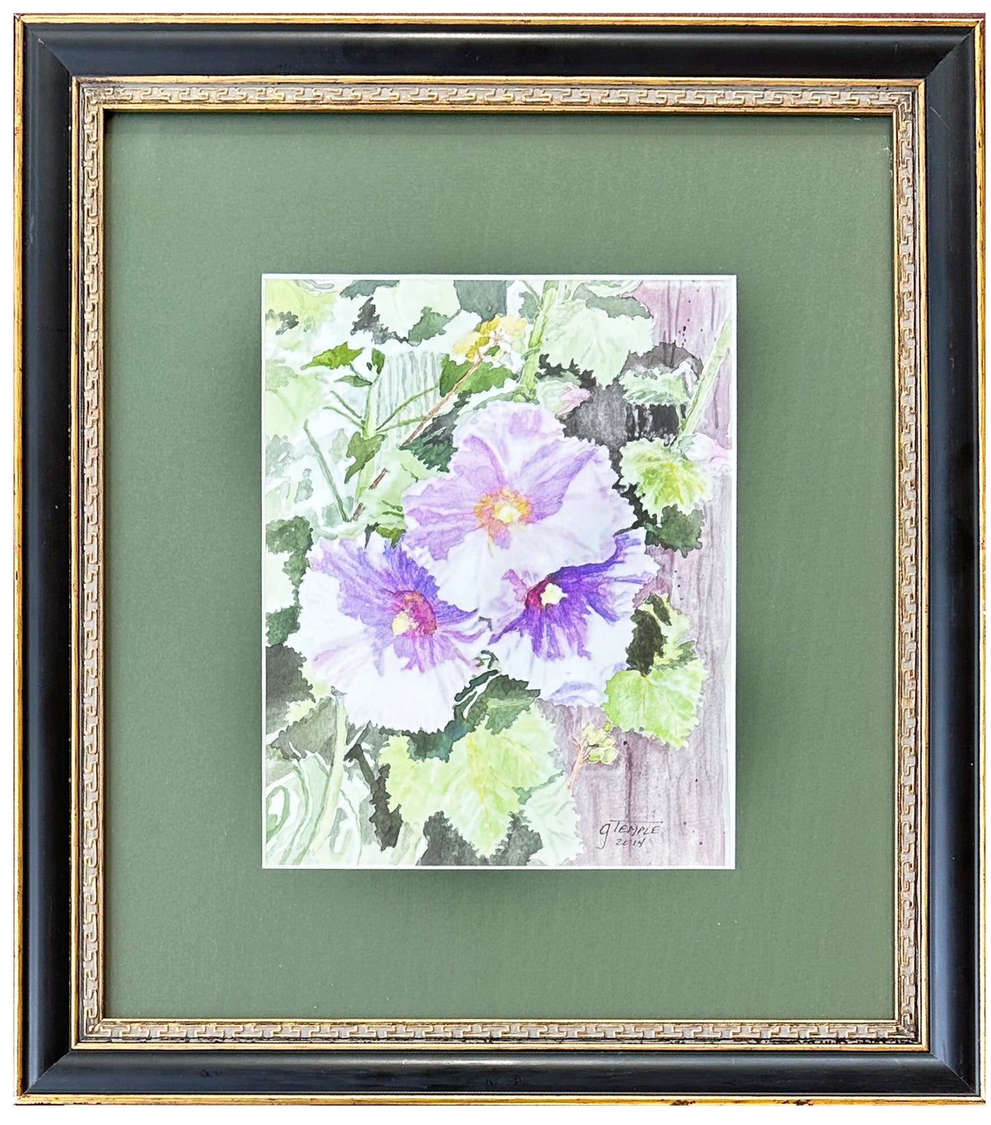 Malvarrosas de Colorado