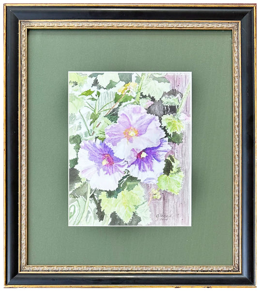 Malvarrosas de Colorado