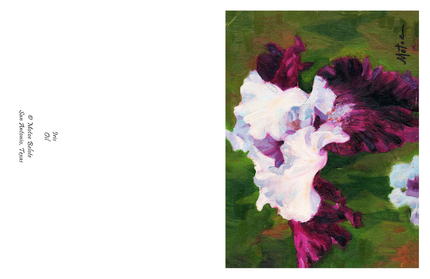 Iris Greeting Cards