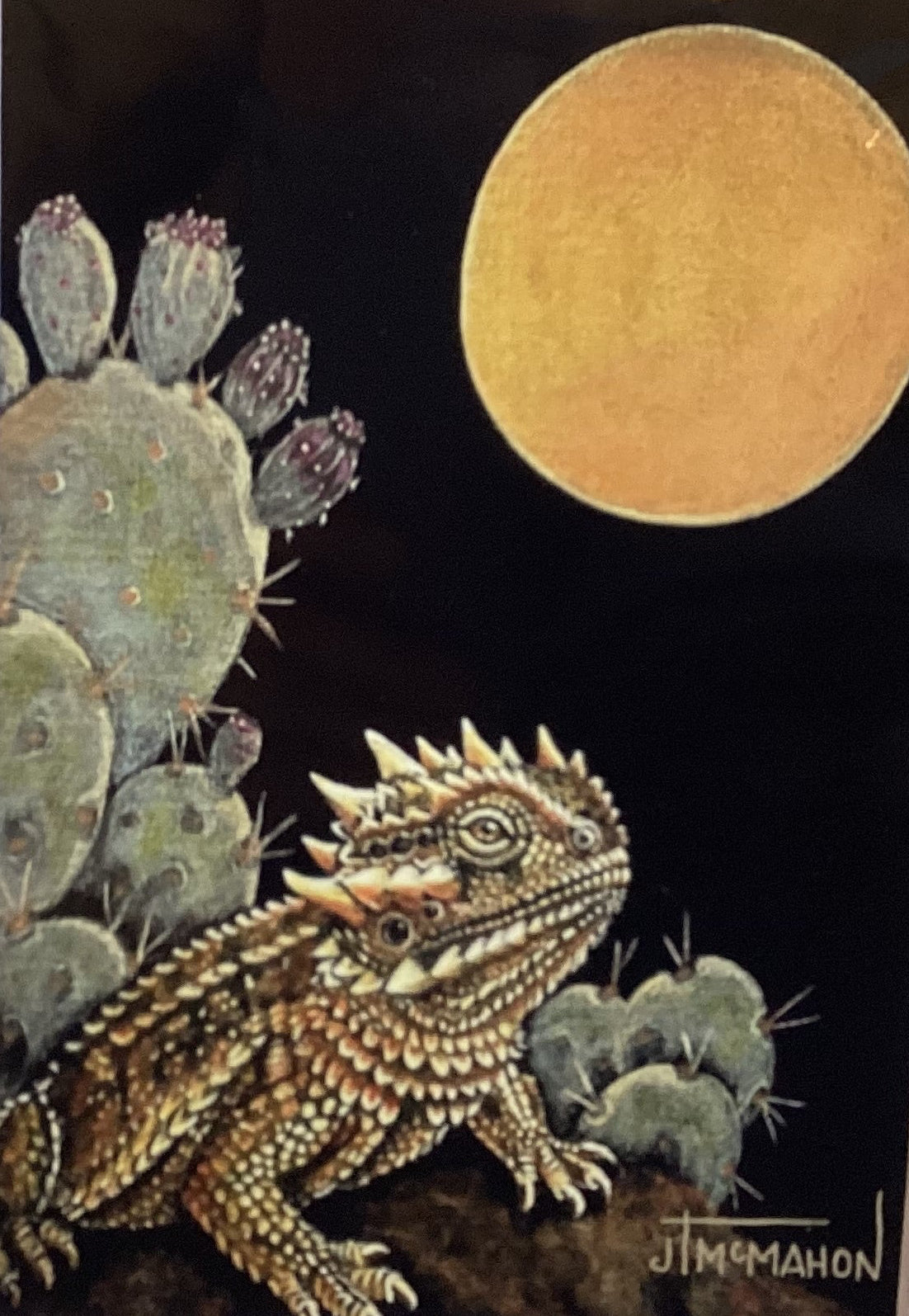 La Luna de Sapo Cornudo