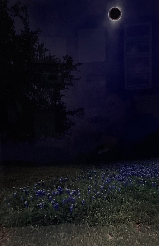 Texas Bluebonnet Solar Eclipse 16/100