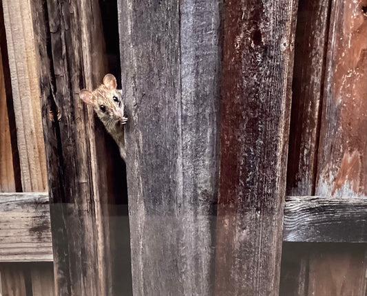 I Need Five More Minutes