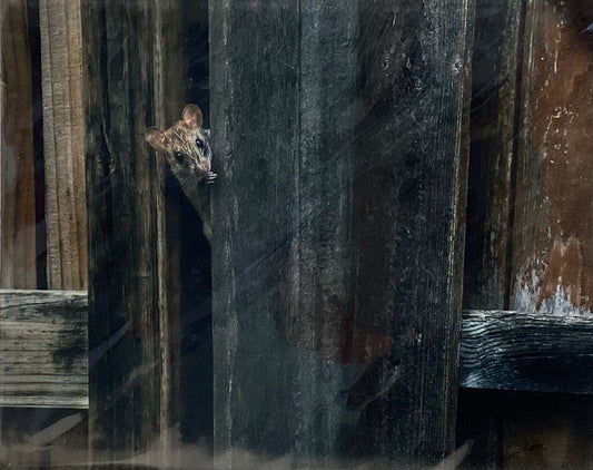 I Just Need Five More Mins