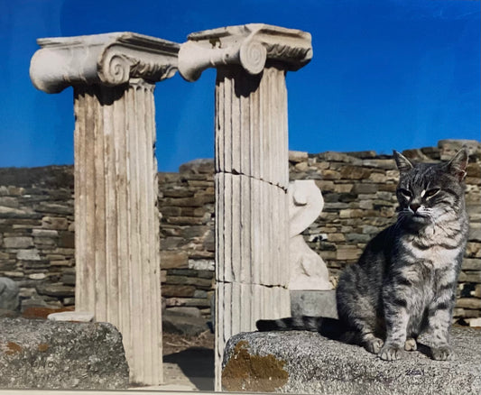 Guardians of the Ruins