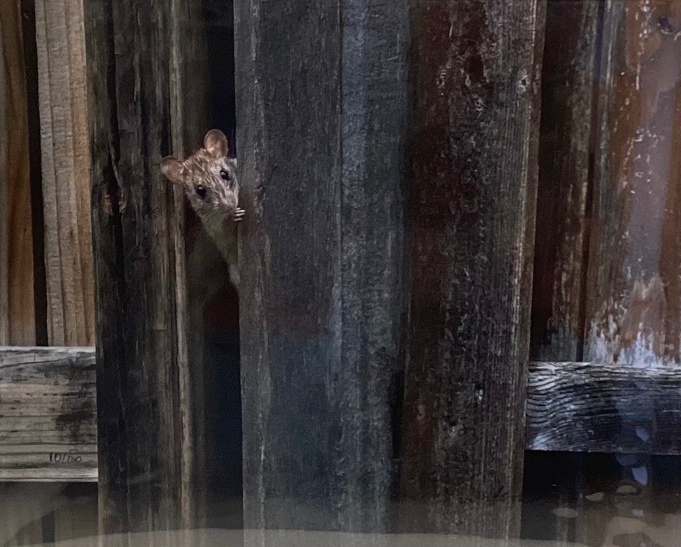 I Need Five More Minutes