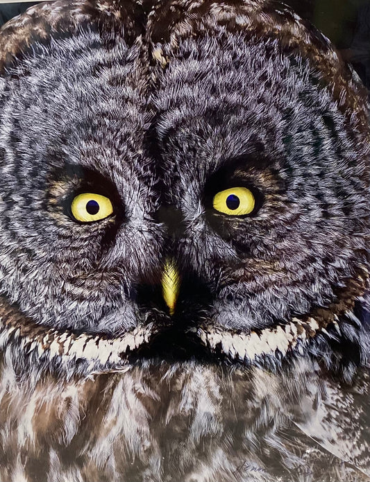 Who’s watching who