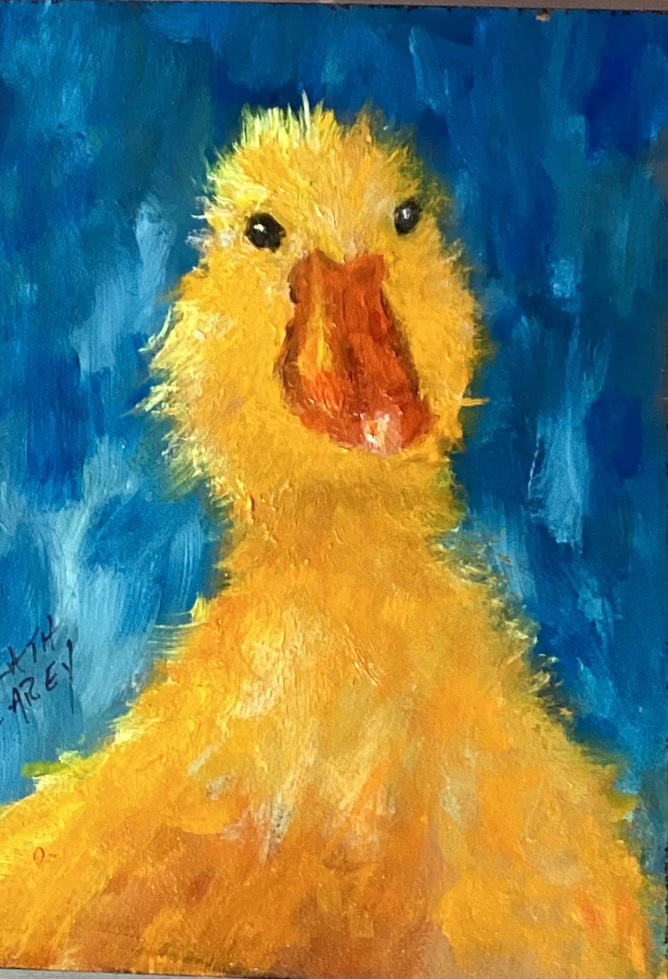 Pato del paseo fluvial. Kim