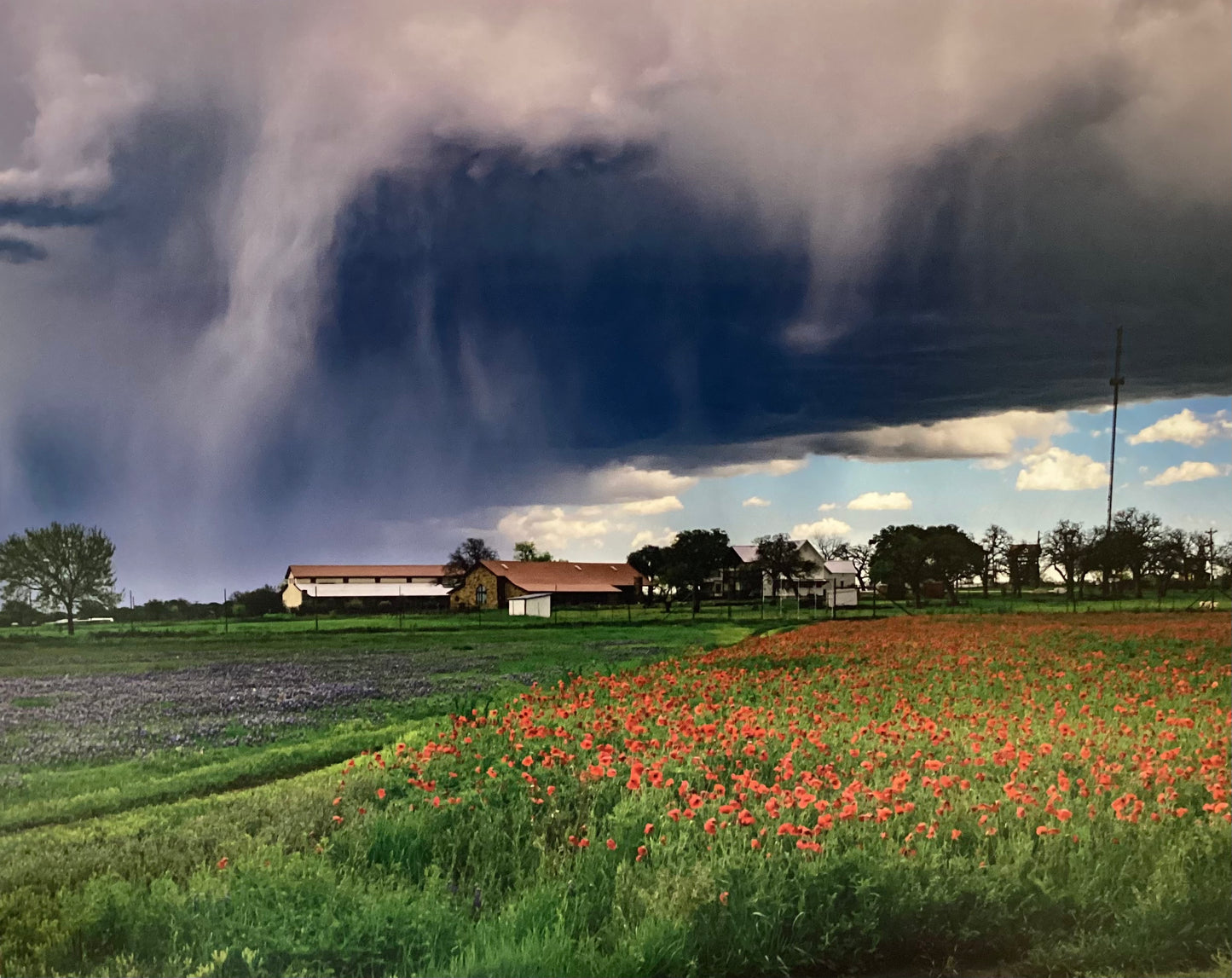 Blue Skies Are on the Horizon