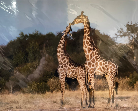 Reaching For My Love