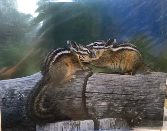 Chipmunk Kisses