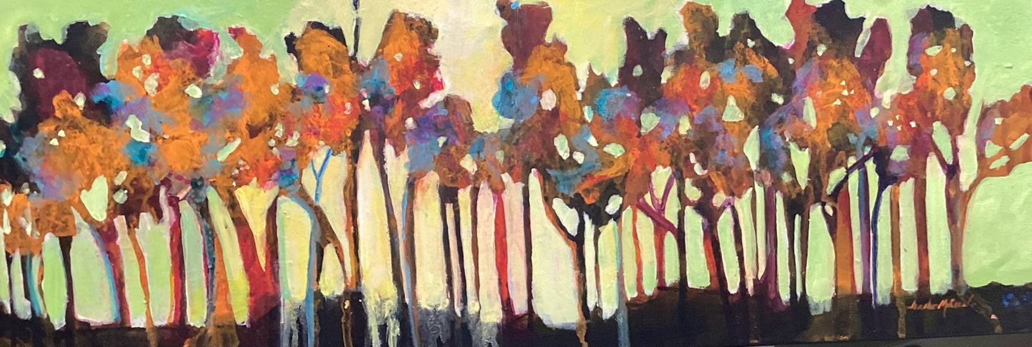 Enchanted Forest