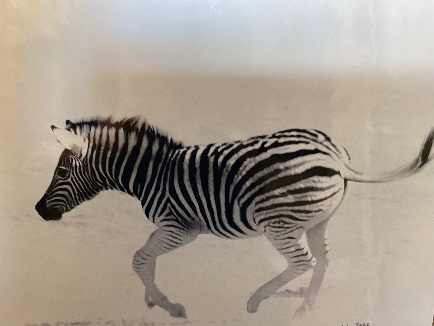 Stripped Blur