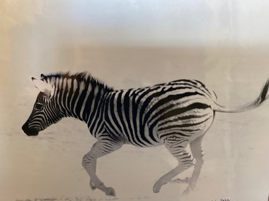 Stripped Blur