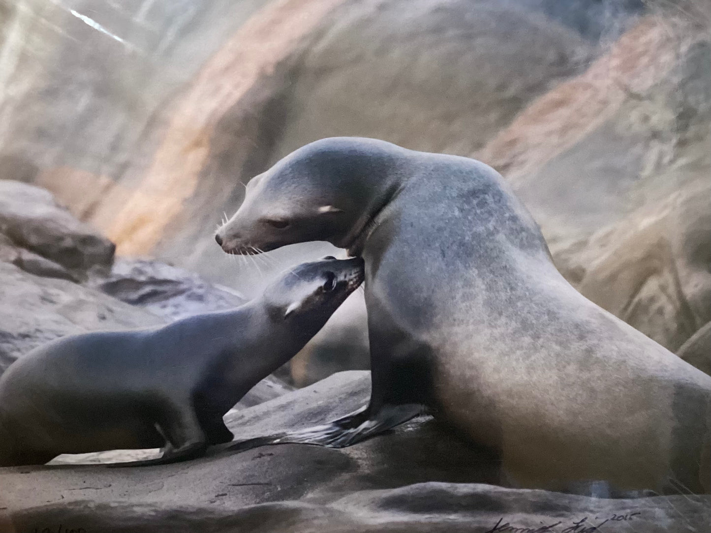 Sealed With A Kiss