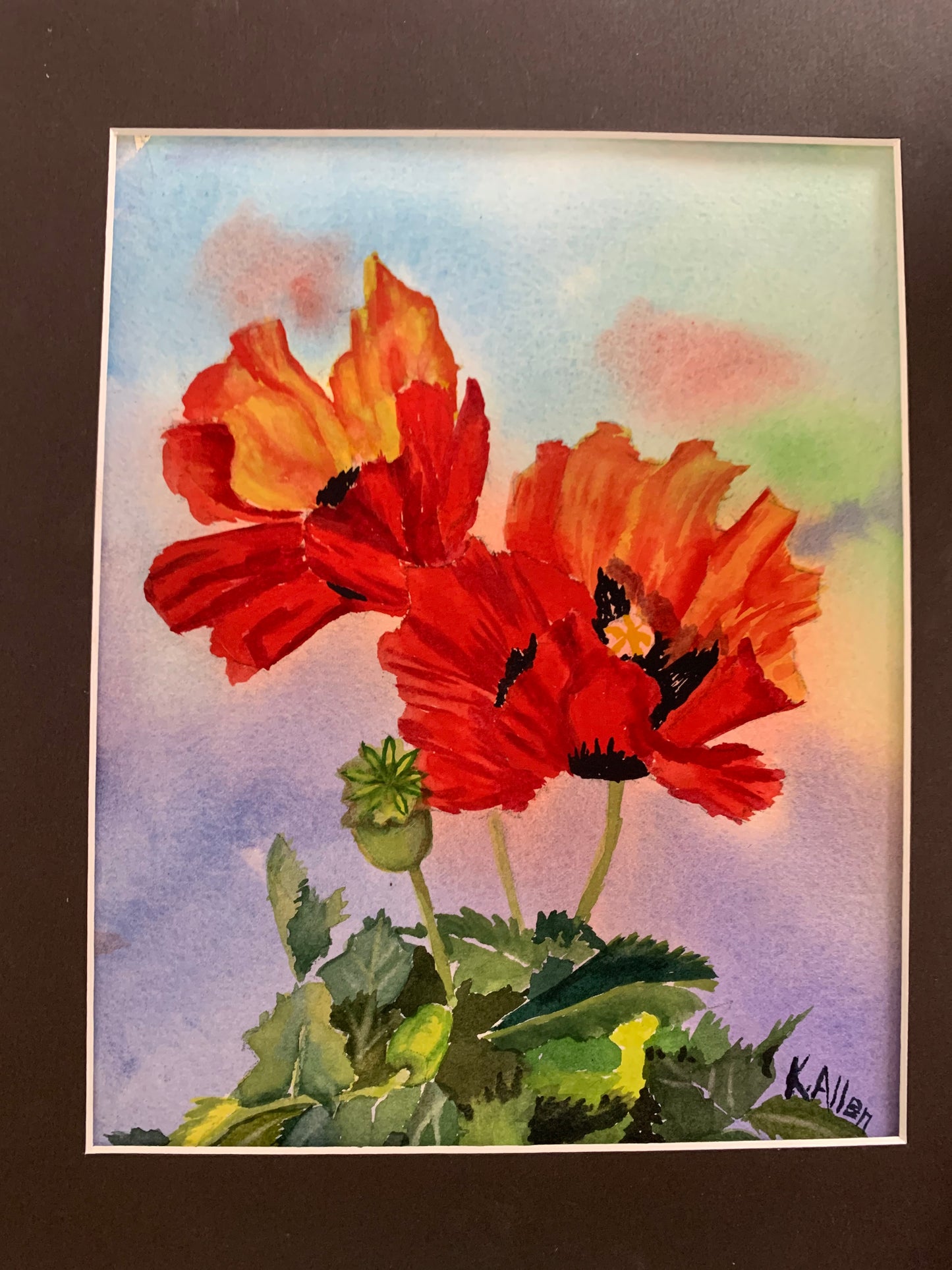 Poppies