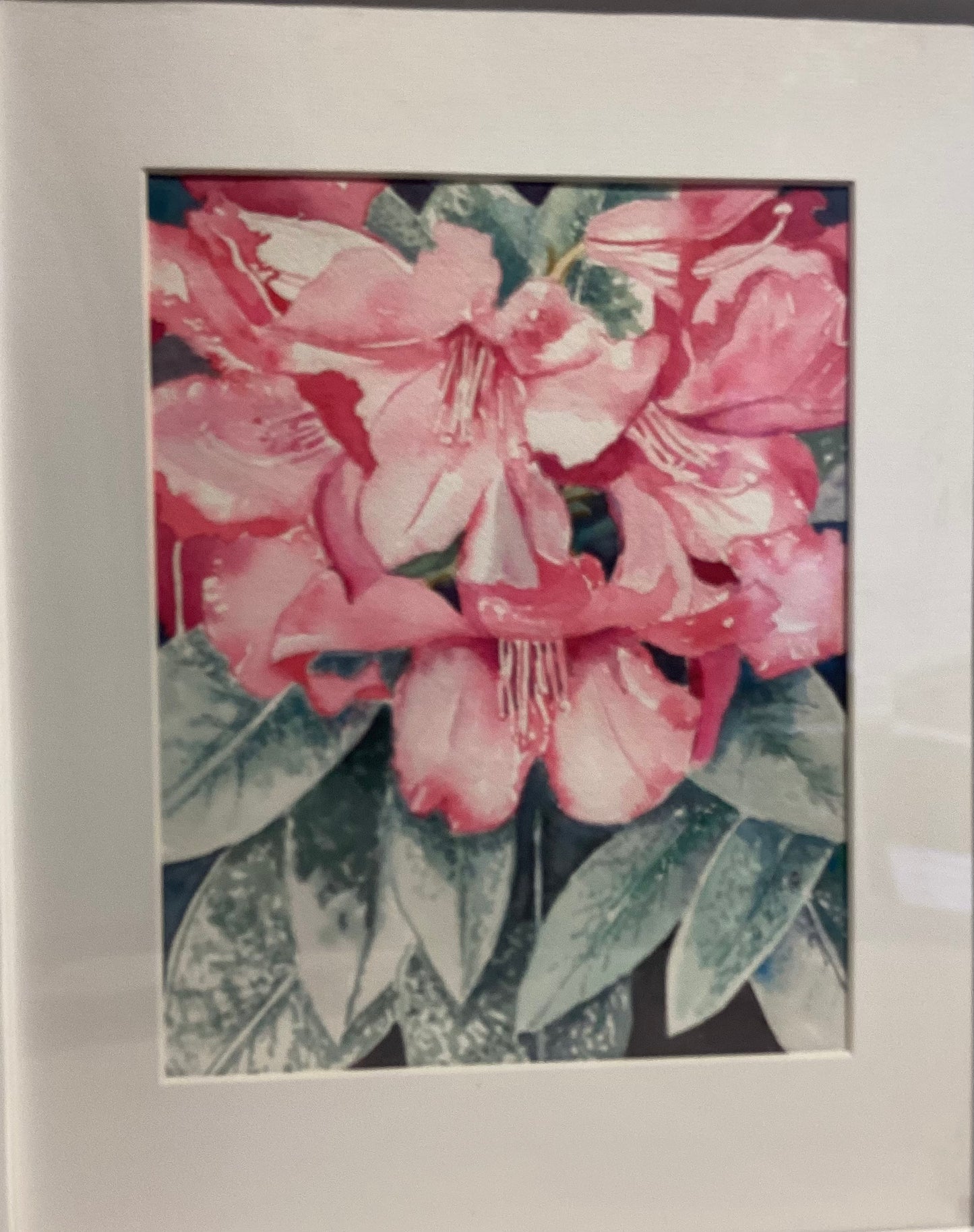 Rhododendrons