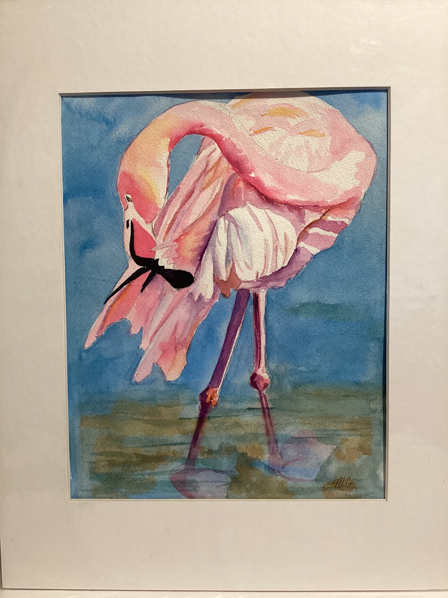 Flamingo