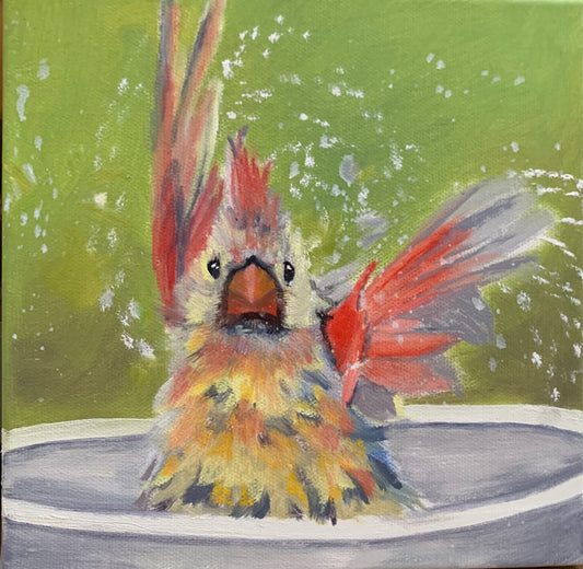 Bath time - Baby Cardinal -Giclee print