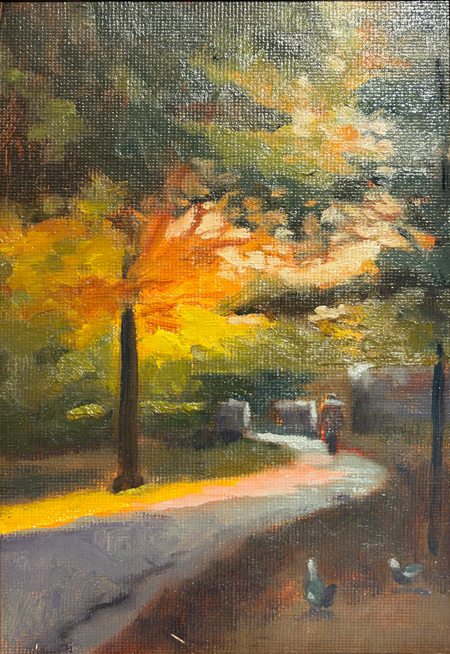 Wheeler Park Ablazin
