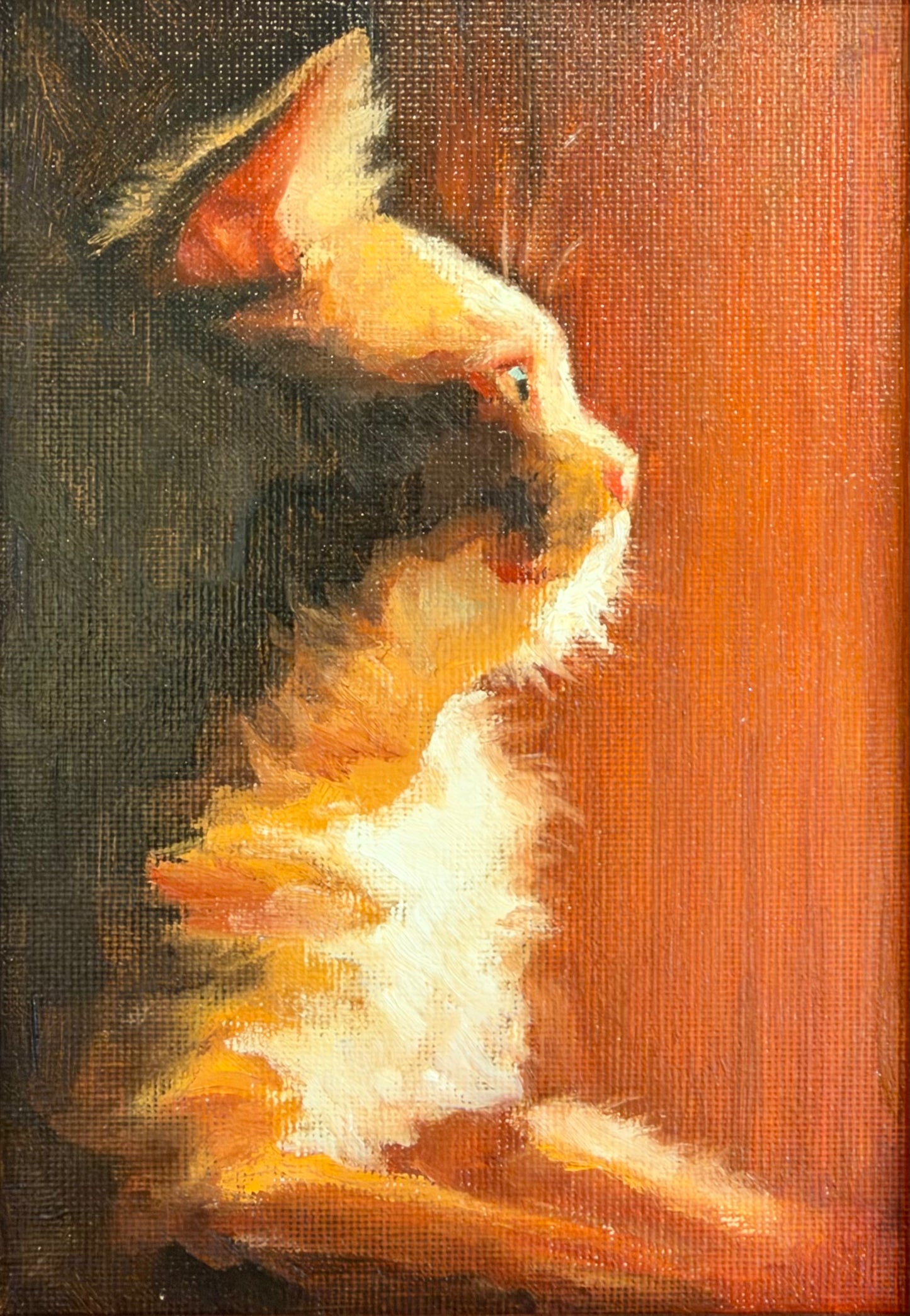 Sentinal