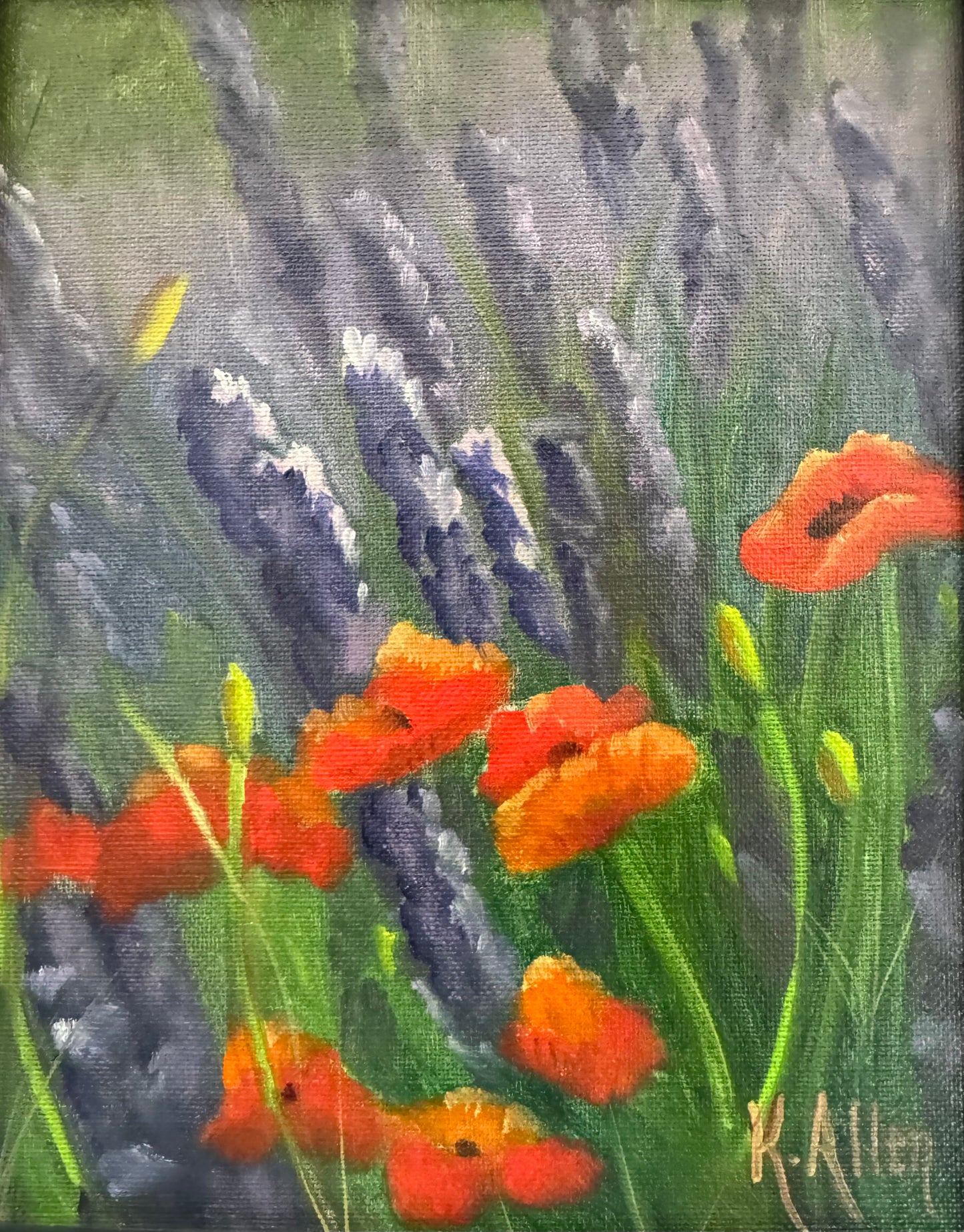 Poppies and Lavender