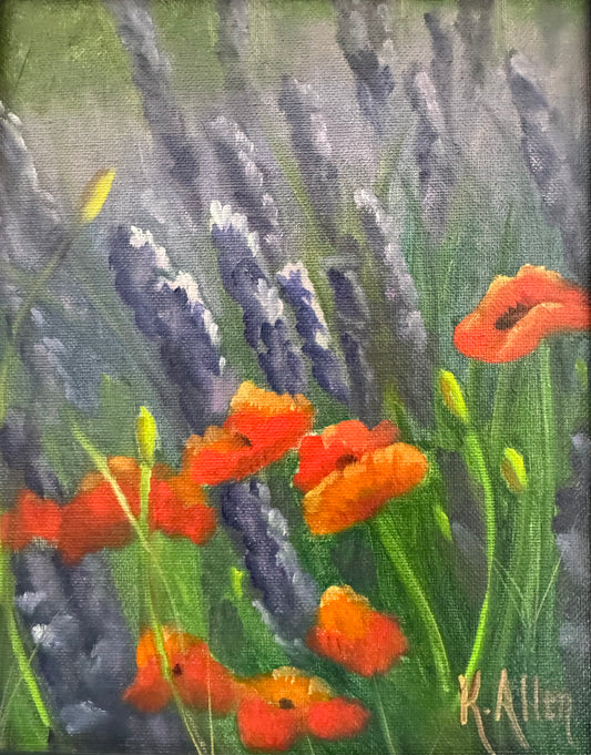 Poppies and Lavender