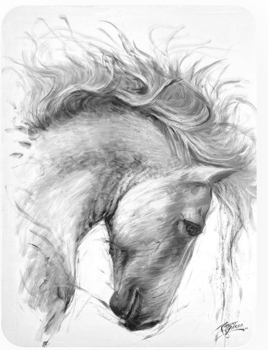 El lienzo del Pensador