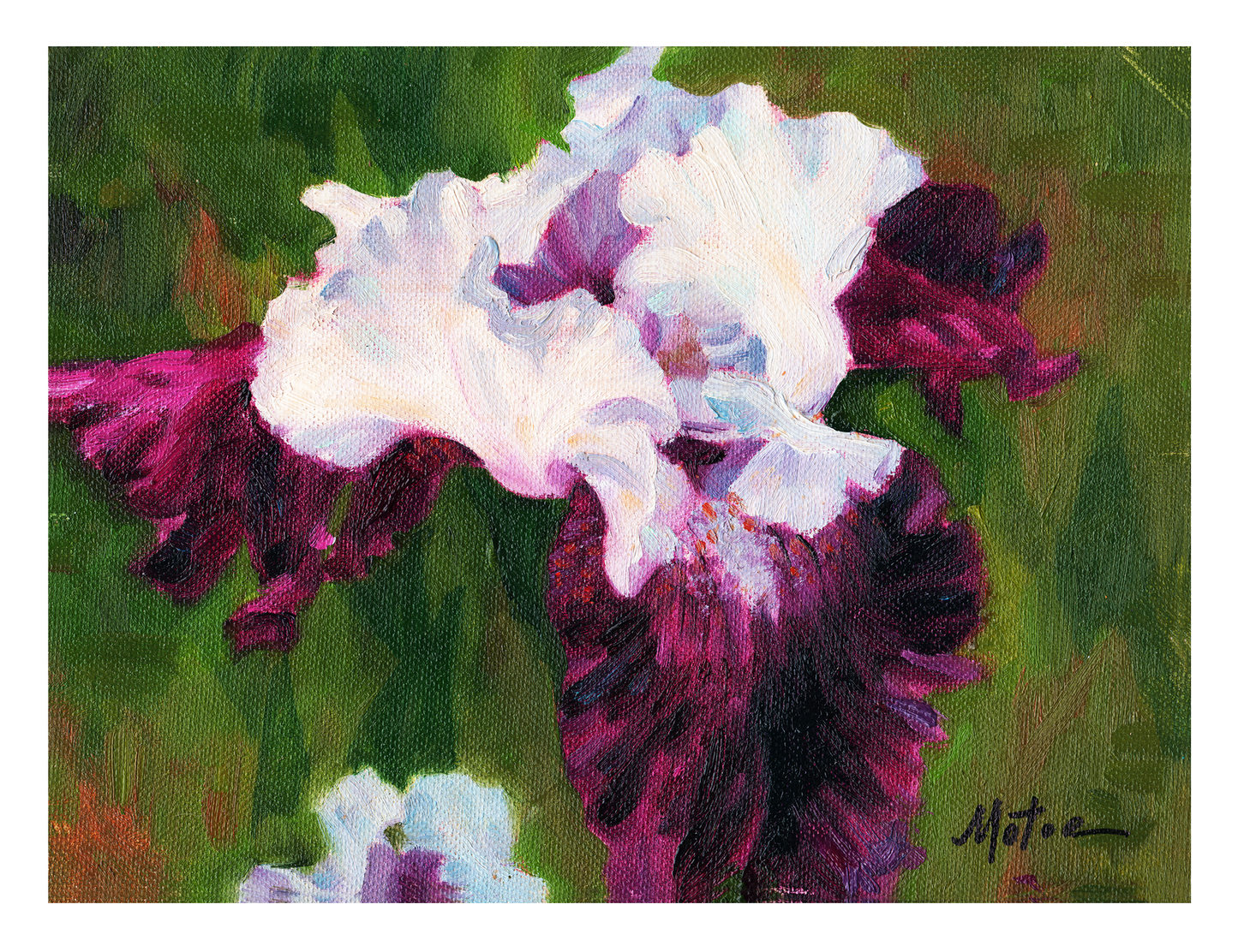 Iris Greeting Cards