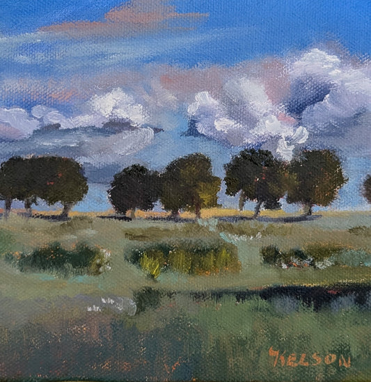 Día soleado y brillante