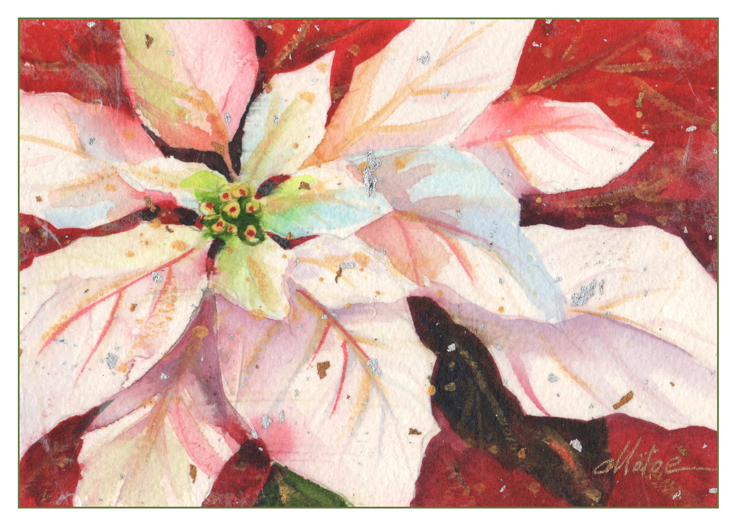 White Poinsettia Greeting Cards