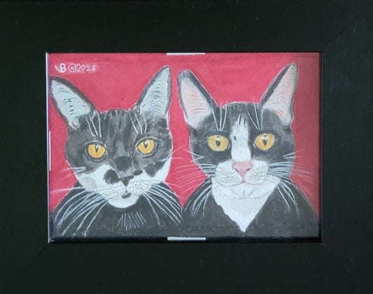 Texas Tuxedo Cats