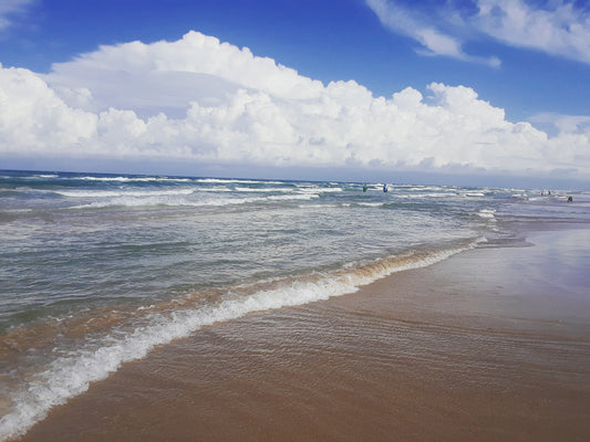 The Beach (S. Padre Island)