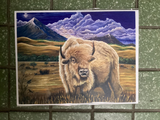 Majestic Buffalo Card Set