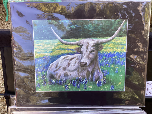 Longhorn in Bluebonnets matted print