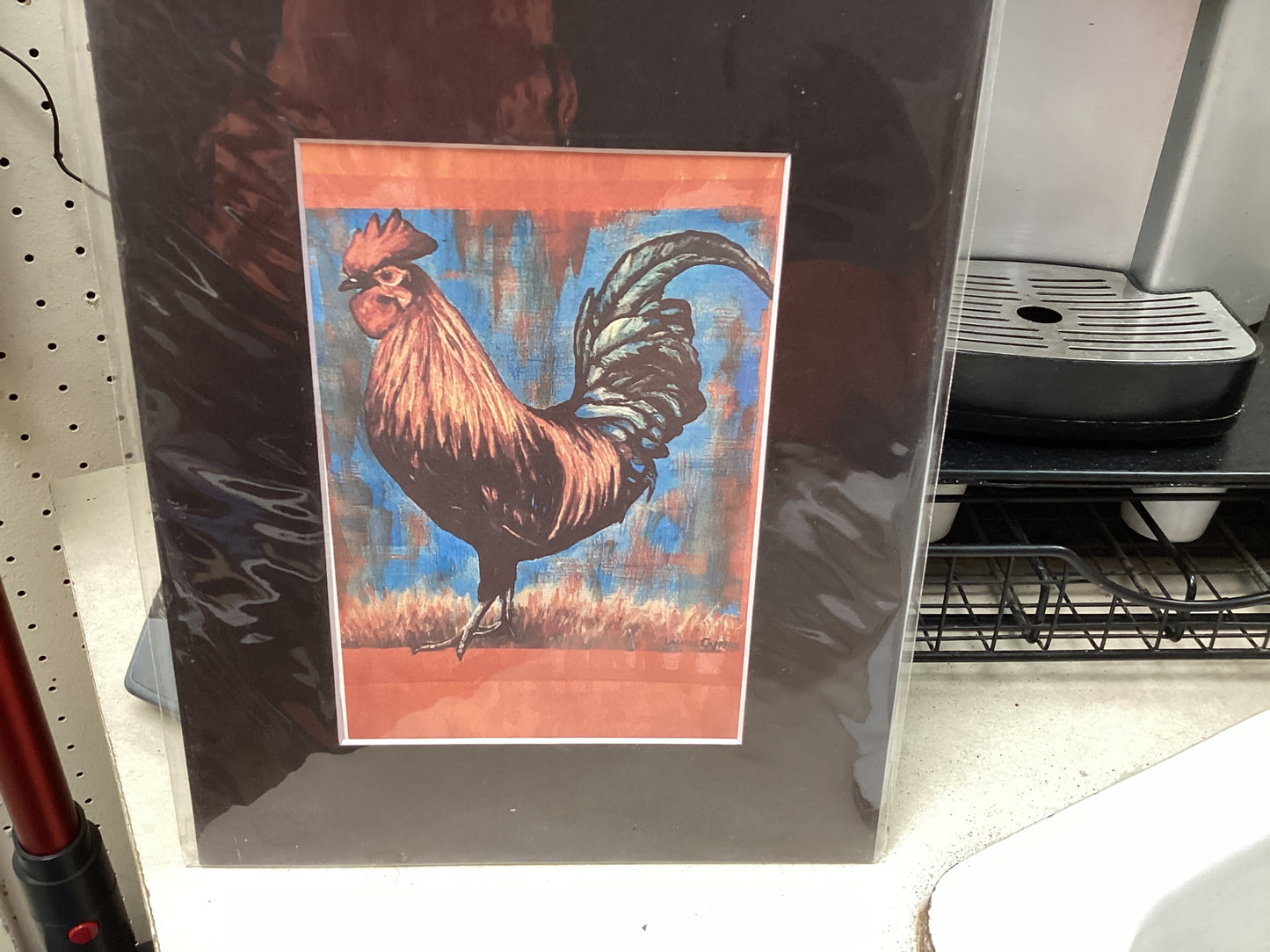 Orange Rooster Matted Print
