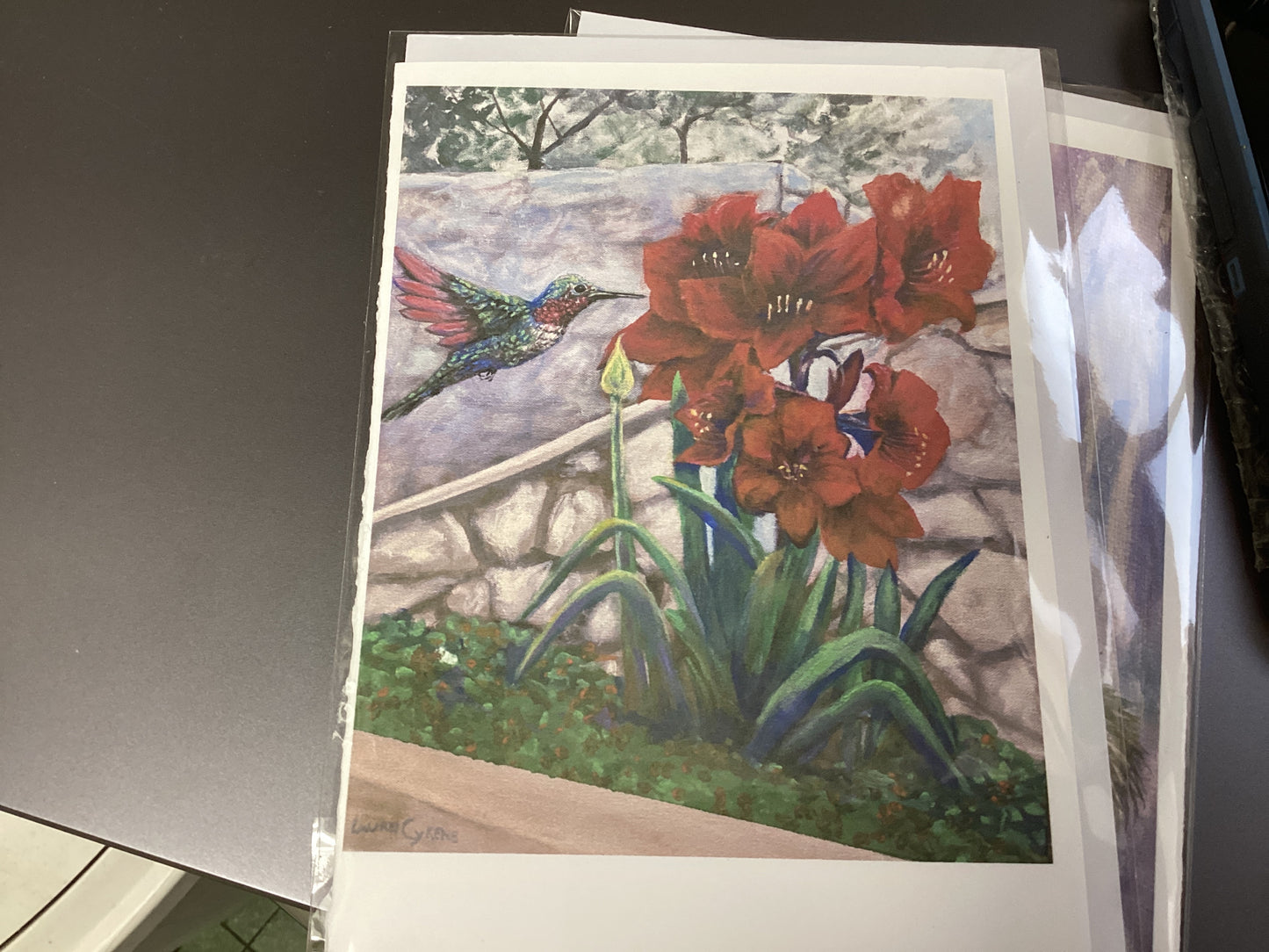 Riverwalk Stroll card 6/6