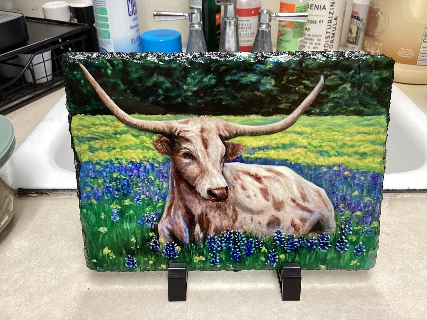 Bluebonnet Longhorn Slate 8/5