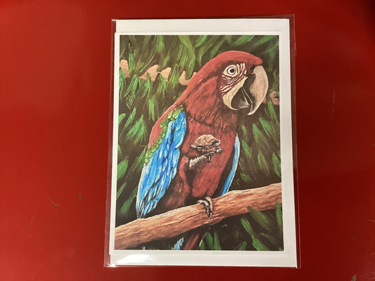 Sammy Scarlet Macaw card