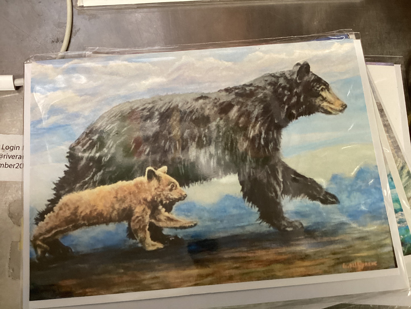 Two Bears card A29