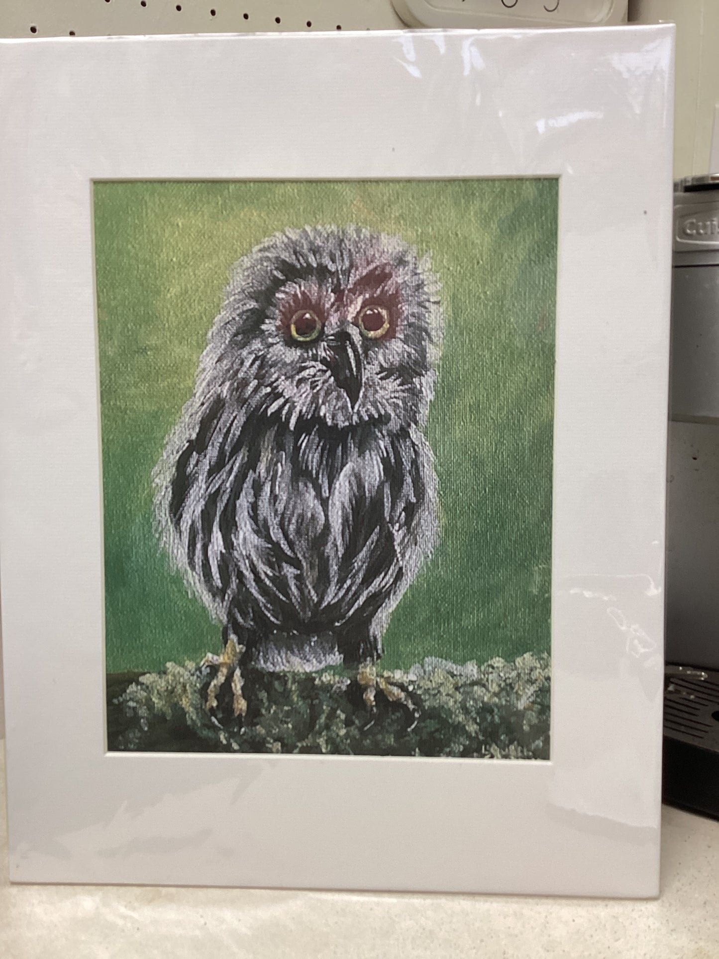 Owl on Branch Print