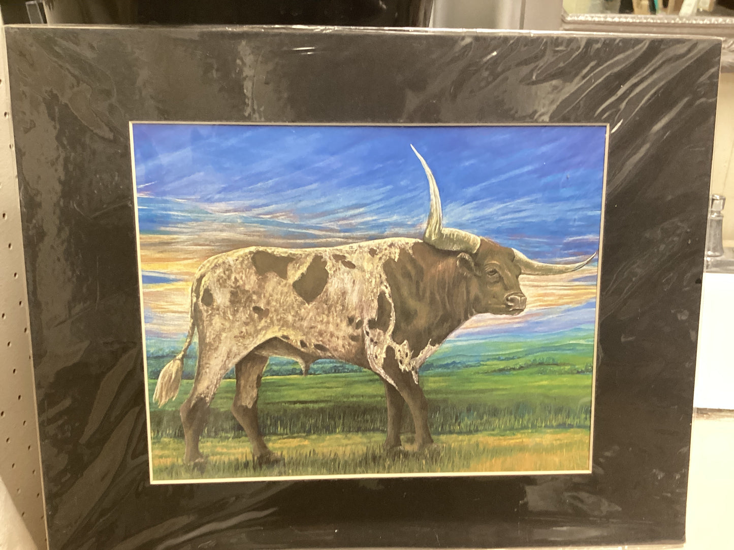 Longhorn Steer Matted Print